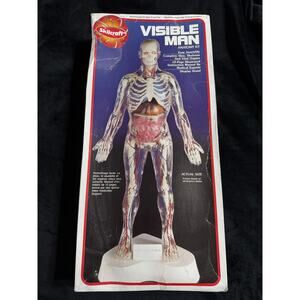 Skillcraft THE VISIBLE MAN Anatomy Kit 1994 Craft House Corp.
